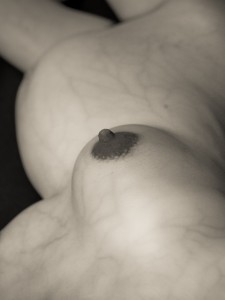 Metamorphosis