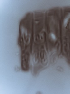 Reflections of Water