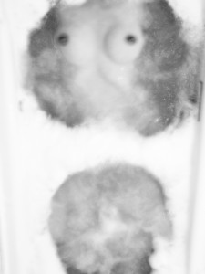 Bath ~ the series